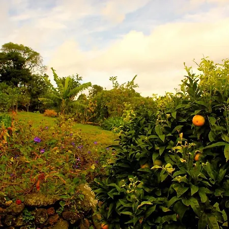 Guest house Aloha To Om - Veggie