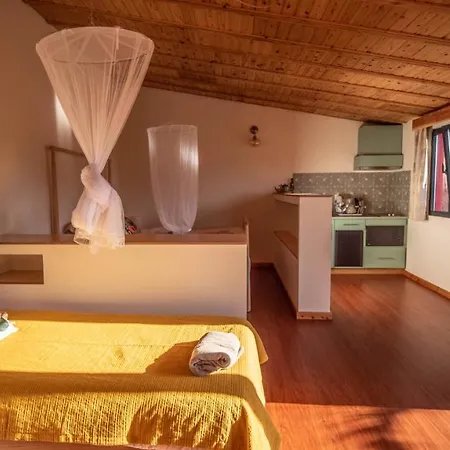 Aloha To Om - Veggie Guest house