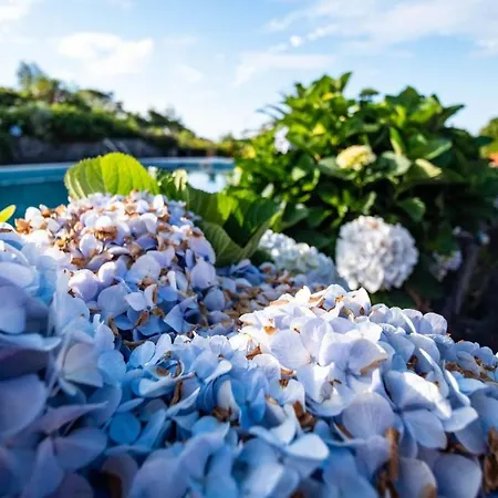 Guest house Aloha To Om - Veggie